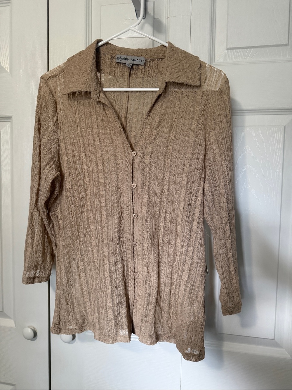NWT Absolutely Fabulous Sheer Lace Button Down Top Large Stretch Tan Mesh